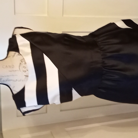 NWT ivy+blu Black & White Fit and Flare Sleeveless  ShortParty Dress Sz 6 - Picture 4 of 8